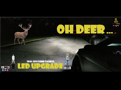 LED Headlight Bulb Upgrade / Install & Review [2010-2019] Taurus (All trims)