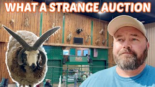 The Most BIZARRE AUCTION I&#39;ve Ever Been To! Wait Until You See What I Bought!