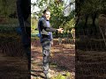 Pecore e galline nella mia azienda agricola #mattthefarmer #pecore #galline #shorts