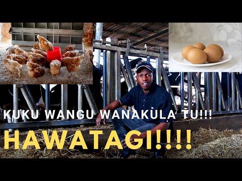 Video: Sampuli ya maelezo ya kawaida ya kazi kwa mtunza kumbukumbu