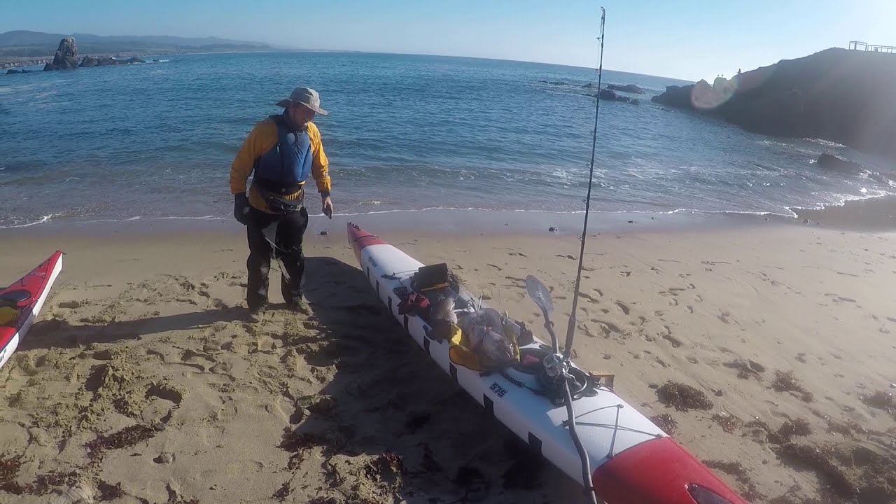 Pigeon Point Lingzilla