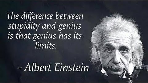 The Difference Between Stupidity and Genius? | In SANE
