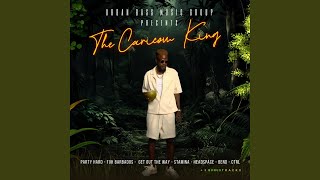 PARTY HARD (feat. PolyDan) (#TCK)