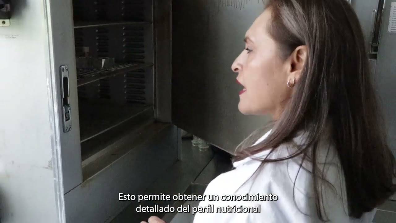 Laboratorio de nutrición animal | FMVZ UNAM