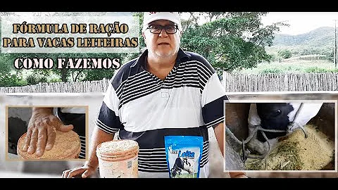 Qual a melhor ração para vaca dar mais leite?
