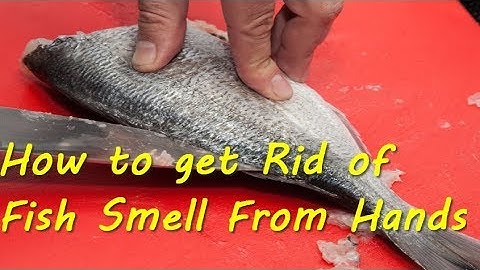 Top Tips- 3 Ways to Get Rid Of Fish Smell From Hands