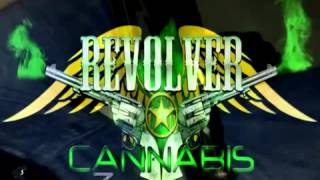 Revolver Cannabis   Descendencia Damaso