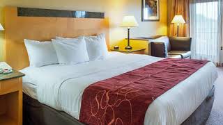 Comfort Suites Southpark - Colonial Heights (Virginia) - United States