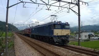 上越線 EF64-1031+EF81-98牽引カシオペアクルーズ 八色駅通過