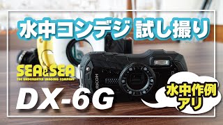 【ダイビング】水中コンデジの試し撮り。DX-6G・被写体まで１cm！暗闇のフリソデエビは撮れるのか？