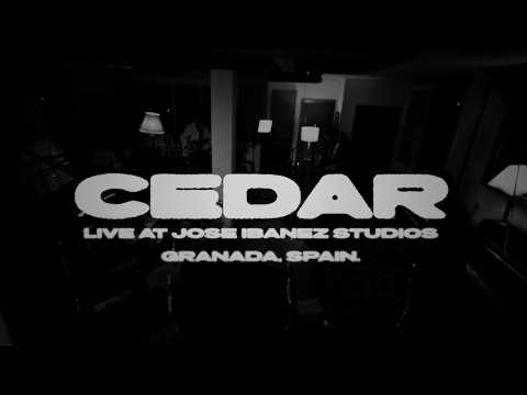 cedar Full Set | Live at Jose Ibanez Studios
