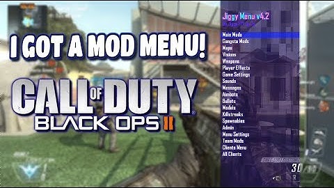 I GOT A MOD MENU! (Black ops 2 Funny moments)