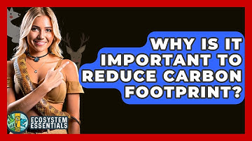 Why Is It Important To Reduce Carbon Footprint? - Ecosystem Essentials