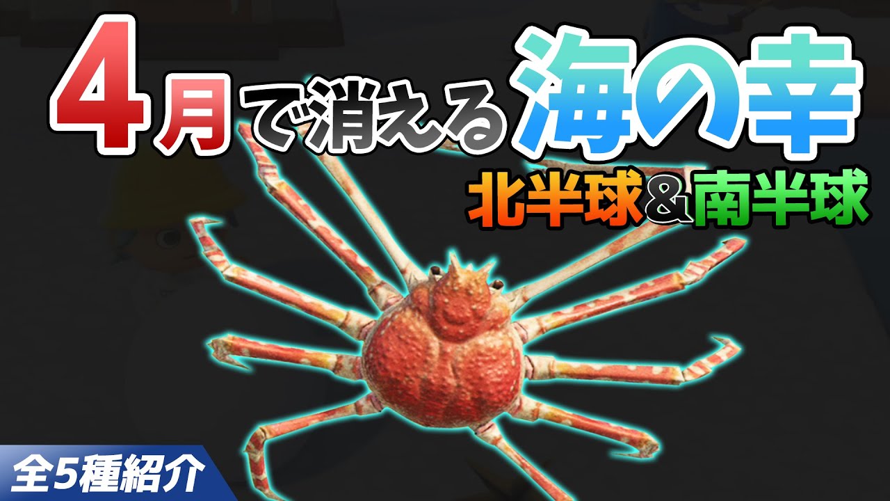 あつ森】4月で消える海の幸を全て紹介！出現時間や影のサイズ・値段