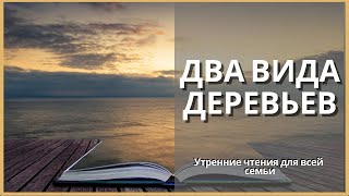 Два Вида Деревьев | Утренние Чтения Для Всей Семьи