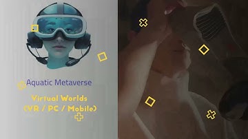 PBLs & Virtual Worlds