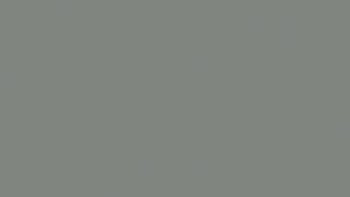 Seal Grey Screen 4K | Neutral TV Background for Calm, Focus & Screen Testing | 3 Hours #GreyScreen4K screenshot 4