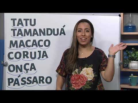 Escrevendo com o Curupira | Rioeduca na TV – 2º Ano