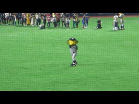 170610 VSソフトバンク(試合終了後)