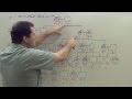 X-Linked Dominant Traits Quiz