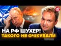 🔥МУСІЄНКО: Розвідка Естонії ОШЕЛЕШИЛА Путіна ПРОГНОЗАМИ! У НАТО готують НЕГАЙНЕ рішення по РФ