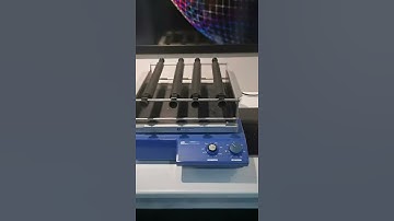 IKA KS250 Basic Orbital Shaker