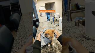 Its Their First Time Living Too