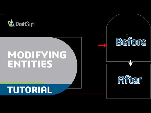 Straighten Polyline from Toolbar