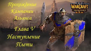 Прохождение кампании за Альянс Warcraft III Reforged (высокая сложность): Глава V Наступление Плети