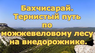 Бахчисарай. Тернистый путь по можжевеловому лесу на внедорожнике.