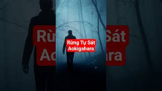 Rừng tự sát Aokigahara | Kỷ Nguyên Thực #kynguyenthuc #bian #khampha #kinhdi