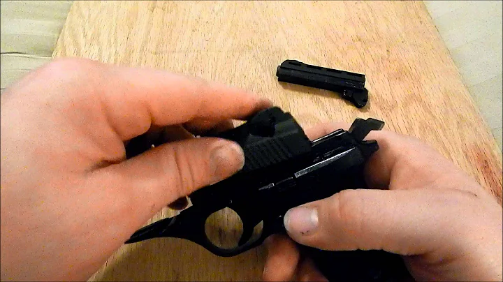 Disassembly & Reassembly of Phoenix Arms HP22a