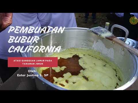 Bubur California