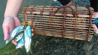 魚筌 - 瀕臨滅絕的古老捕魚陷阱 傳統卻格外實用的原住民工藝  The Oldest Fish Trap | Tradition but works | Catch A lot of Fish