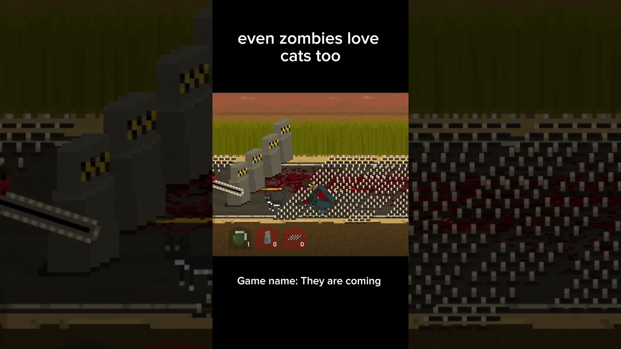 Caesar is a charming partner. 