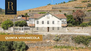 Quinta vitivinícola no baixo corgo com mansão | REF. MAS_4049