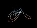 Four-Wing Attractor | Animation