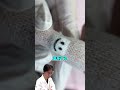 イボはこう治す！皮膚科専門医たかし先生による解説！