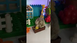 cute hamster in lego world #shorts #hamsters #cuteanimals #lego #cutehamsterdoing #legoplay