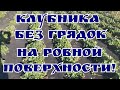 "КАК ПОСАДИТЬ КЛУБНИКУ НА АГРОСПАН, НЕ ИСПОЛЬЗУЯ ВЫСОКИЕ ГРЯДКИ! "