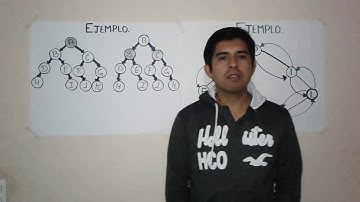 Video Busqueda en Profundidad