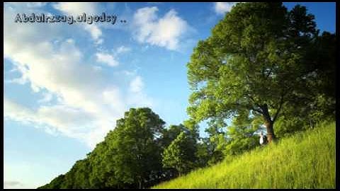 ما تيسر من سورة النساء آية 60 - عبدالرزاق القدسي .