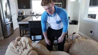 Inside A Giant Teddy Bear