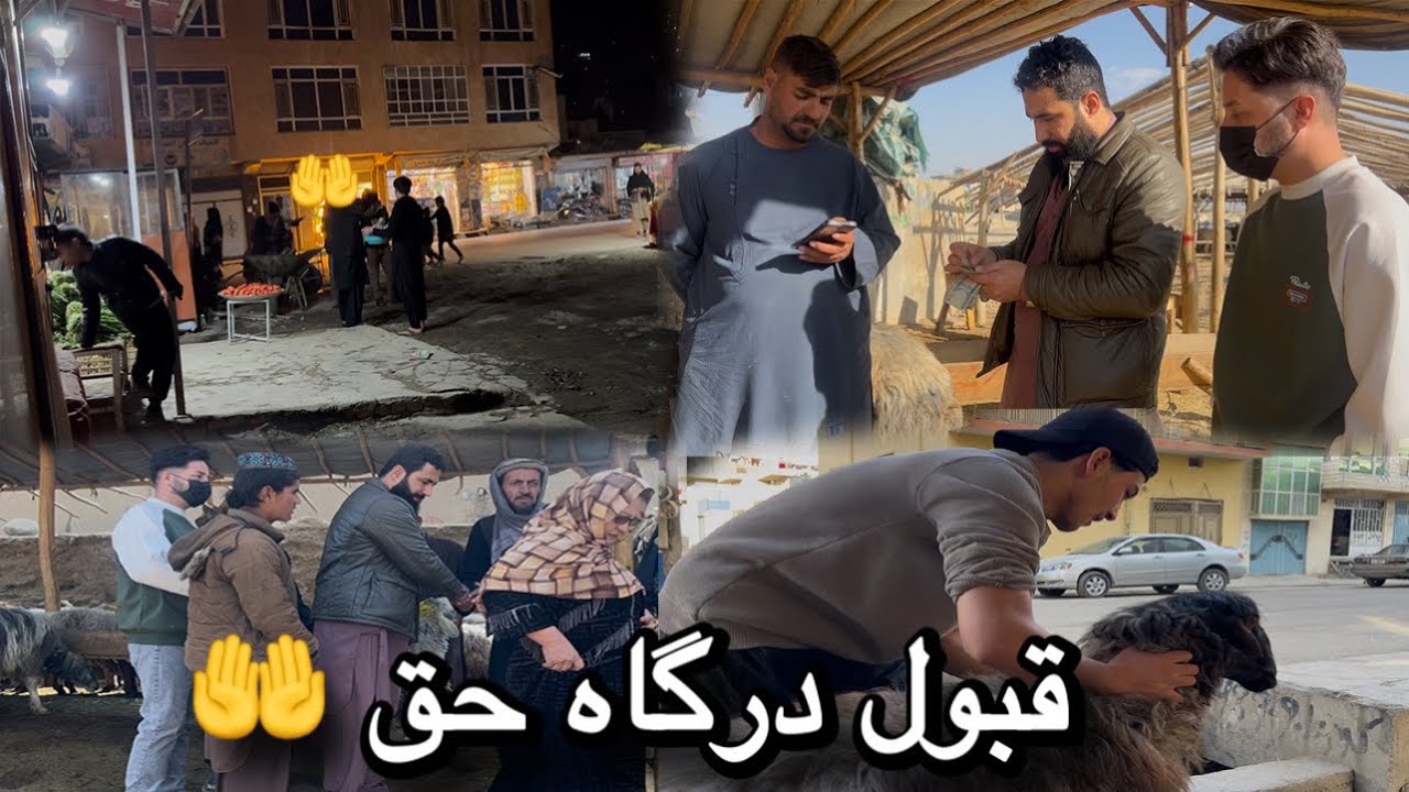 ولاگ خرید گوسفند و‌ توزیع کردن گوشت به مستحقین 🥹🤲