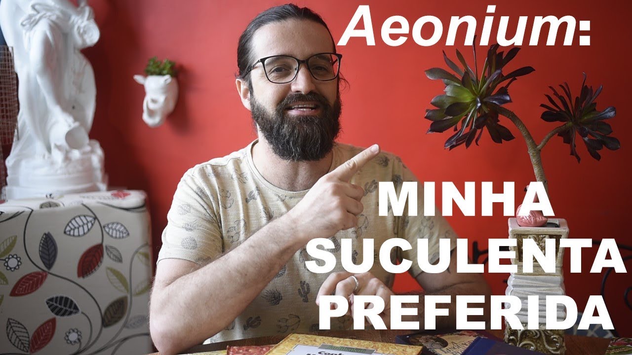 AEONIUM- Pronúncia correta e cultivo