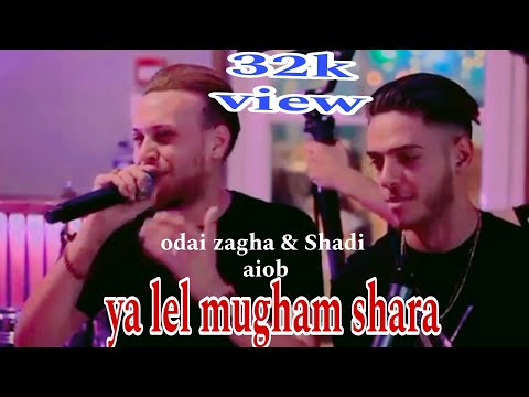 ya lel mugham shara new arabic song /یا لیل یابوغیم جاارا shadi ayoub/arabic songs/tiktok song