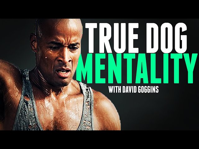 TRUE DOG MENTALITY - The Most Motivational Video | David Goggins class=
