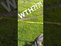 Police are searching for culprit, in the local news- Our Life ￼#vandalism
