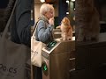 cute cat                                             #tech #goldenretriever #dothingsyoudontwanttodo