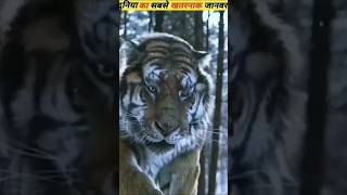 world most dangerous animals #subscribe #facts #like #viral #viral #crazyfacts